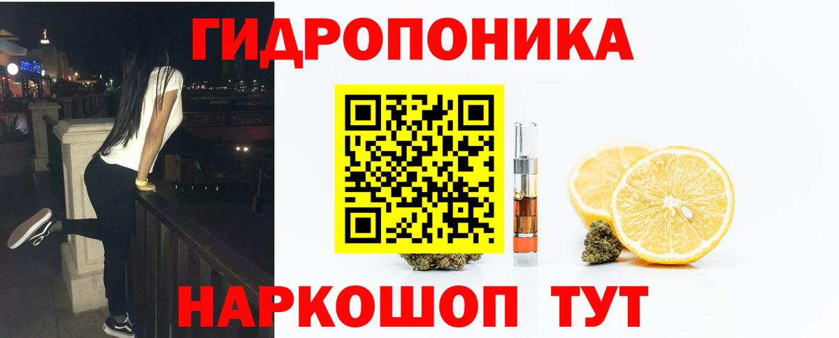 Канабис конопля  Канабис сатива  Конопля гибрид  Вход с VPN  Магнитогорск 